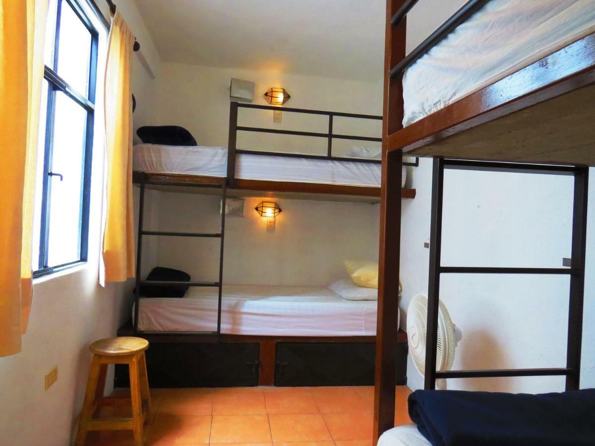 סאן מיגל דה אלנדה La Catrina Hostel מראה חיצוני תמונה